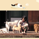 hyori's bed and breakfast